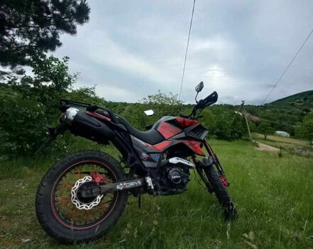 Tekken 250, об'ємом двигуна 0.25 л та пробігом 7 тис. км за 1350 $, фото 5 на Automoto.ua