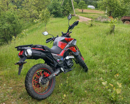 Tekken 250, об'ємом двигуна 0.25 л та пробігом 7 тис. км за 1350 $, фото 3 на Automoto.ua