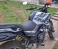 Tekken 250, объемом двигателя 0 л и пробегом 4 тыс. км за 1350 $, фото 2 на Automoto.ua