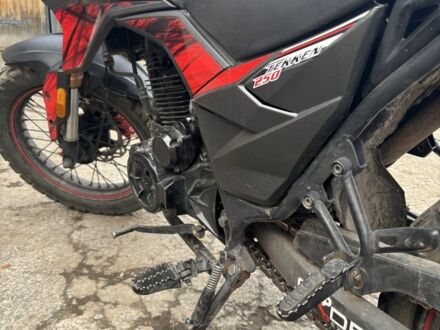 Tekken 250, об'ємом двигуна 0.25 л та пробігом 0 тис. км за 711 $, фото 1 на Automoto.ua