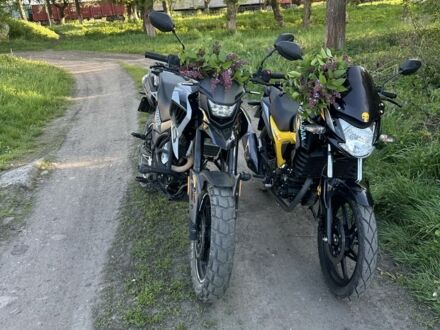 Tekken 250, объемом двигателя 0.25 л и пробегом 0 тыс. км за 1250 $, фото 1 на Automoto.ua