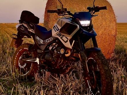 Tekken 250, объемом двигателя 0.25 л и пробегом 0 тыс. км за 1480 $, фото 1 на Automoto.ua