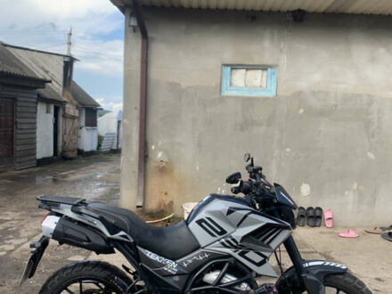 Tekken 250, объемом двигателя 0 л и пробегом 10 тыс. км за 1300 $, фото 1 на Automoto.ua