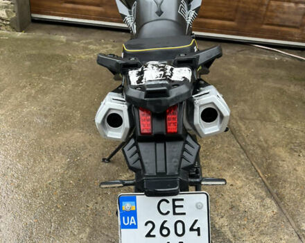 Жовтий Tekken 250, об'ємом двигуна 0.25 л та пробігом 7 тис. км за 1506 $, фото 8 на Automoto.ua