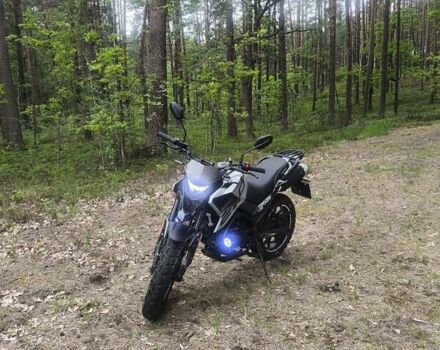 Сірий Tekken 250, об'ємом двигуна 0.25 л та пробігом 2 тис. км за 1600 $, фото 3 на Automoto.ua