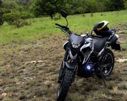 Сірий Tekken 250, об'ємом двигуна 0.25 л та пробігом 2 тис. км за 1600 $, фото 2 на Automoto.ua