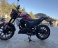 Серый Tekken 250, объемом двигателя 0.25 л и пробегом 4 тыс. км за 1500 $, фото 3 на Automoto.ua