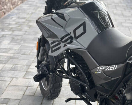 Серый Tekken 250, объемом двигателя 0.25 л и пробегом 3 тыс. км за 1500 $, фото 4 на Automoto.ua