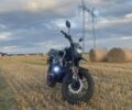 Сірий Tekken 250, об'ємом двигуна 0.25 л та пробігом 1 тис. км за 1600 $, фото 1 на Automoto.ua