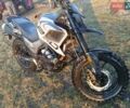 Серый Tekken 250, объемом двигателя 0 л и пробегом 280 тыс. км за 1650 $, фото 8 на Automoto.ua