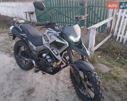 Серый Tekken 250, объемом двигателя 0 л и пробегом 280 тыс. км за 1650 $, фото 3 на Automoto.ua