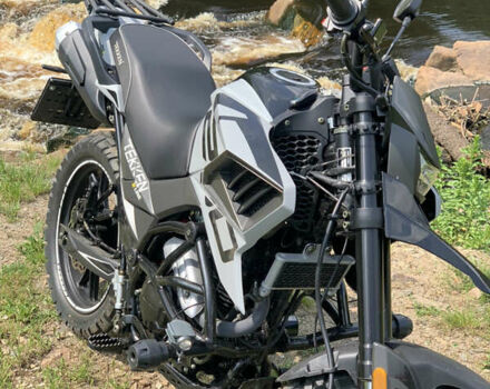 Сірий Tekken 250, об'ємом двигуна 0.25 л та пробігом 1 тис. км за 1590 $, фото 2 на Automoto.ua