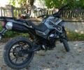 Серый Tekken 250, объемом двигателя 0 л и пробегом 8 тыс. км за 1499 $, фото 1 на Automoto.ua