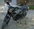 Серый Tekken 250, объемом двигателя 0 л и пробегом 8 тыс. км за 1499 $, фото 4 на Automoto.ua