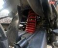 Серый Tekken 250, объемом двигателя 0.25 л и пробегом 10 тыс. км за 1600 $, фото 14 на Automoto.ua