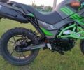 Серый Tekken 250, объемом двигателя 0.25 л и пробегом 1 тыс. км за 1600 $, фото 4 на Automoto.ua