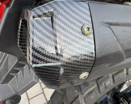 Серый Tekken 250, объемом двигателя 0 л и пробегом 2 тыс. км за 1404 $, фото 10 на Automoto.ua