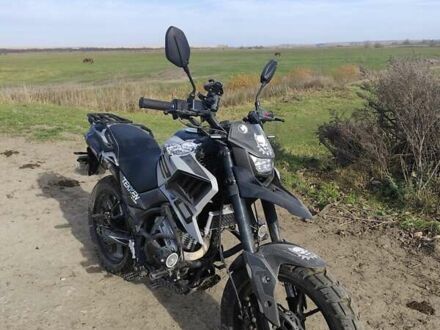 Серый Tekken 250, объемом двигателя 0 л и пробегом 2 тыс. км за 1350 $, фото 1 на Automoto.ua