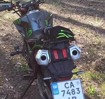 Зеленый Tekken 250, объемом двигателя 0.25 л и пробегом 5 тыс. км за 1650 $, фото 5 на Automoto.ua