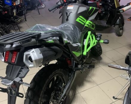 Tekken 300, об'ємом двигуна 0.3 л та пробігом 0 тис. км за 1890 $, фото 7 на Automoto.ua