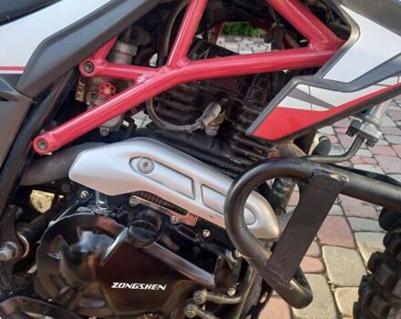 Серый Tekken 300, объемом двигателя 0 л и пробегом 3 тыс. км за 1800 $, фото 2 на Automoto.ua