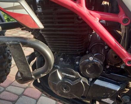 Серый Tekken 300, объемом двигателя 0 л и пробегом 3 тыс. км за 1800 $, фото 1 на Automoto.ua