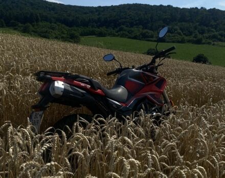 Tekken 3302, объемом двигателя 0.25 л и пробегом 0 тыс. км за 1201 $, фото 9 на Automoto.ua