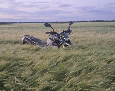 Tekken Другая, объемом двигателя 0.25 л и пробегом 0 тыс. км за 1442 $, фото 3 на Automoto.ua