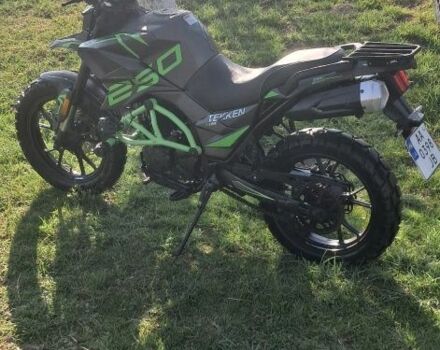 Tekken MH250GY-15, об'ємом двигуна 0.25 л та пробігом 0 тис. км за 1725 $, фото 3 на Automoto.ua