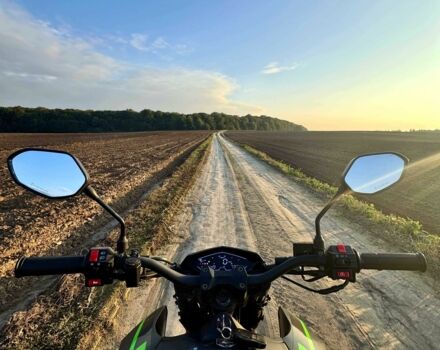 Tekken MH250GY-15, объемом двигателя 0.25 л и пробегом 0 тыс. км за 1242 $, фото 10 на Automoto.ua