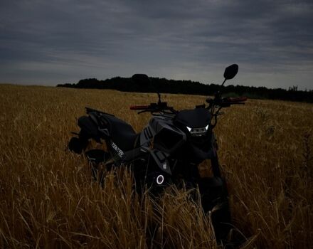 Tekken MH250GY-15, об'ємом двигуна 0.25 л та пробігом 0 тис. км за 1450 $, фото 6 на Automoto.ua