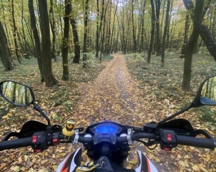 Tekken 250, объемом двигателя 0.22 л и пробегом 0 тыс. км за 1600 $, фото 3 на Automoto.ua