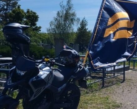 Tekken 250, об'ємом двигуна 0.25 л та пробігом 0 тис. км за 1430 $, фото 4 на Automoto.ua