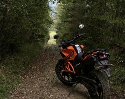 Tekken 250, объемом двигателя 0.25 л и пробегом 0 тыс. км за 1500 $, фото 6 на Automoto.ua