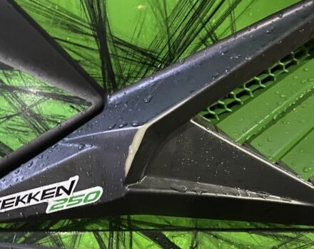 Tekken 250, об'ємом двигуна 0.25 л та пробігом 0 тис. км за 1183 $, фото 4 на Automoto.ua