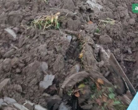 Terra Force 3254 HX, об'ємом двигуна 1.6 л та пробігом 0 тис. км за 5100 $, фото 10 на Automoto.ua