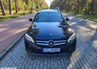 Мерседес Ц-Клас 2019 у Європі на Automoto.ua Чорний Мерседес Ц-Клас, об'ємом двигуна 1 л та пробігом 166 тис. км за 20073 $, фото 8 на Automoto.ua