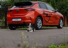 Купить новое авто  в Ивано-Франковске в автосалоне "Opel Центр Модерн-Авто" | Фото 8 на Automoto.ua