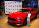 Купить новое авто Ford в Виннице в автосалоне "Автовинн Ford" | Фото 5 на Automoto.ua