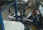Купити нове авто Ford у Полтаві в автосалоні "Полтава-Автосвіт" | Фото 9 на Automoto.ua
