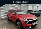 Кіа Sportage, об'ємом двигуна 1.6 л та пробігом 10 тис. км за 43045 $, фото 1 на Automoto.ua