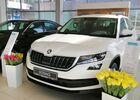 Купить новое авто  в Житомире в автосалоне "Опад Skoda" | Фото 5 на Automoto.ua