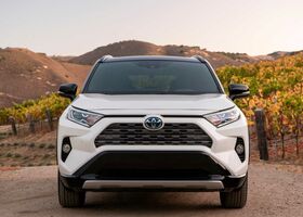 Toyota RAV4 2019 на тест-драйве, фото 2