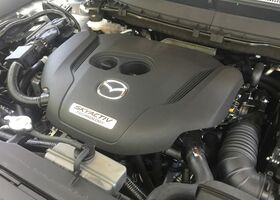 Mazda CX-9 2018 на тест-драйве, фото 6