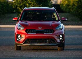 Kia Niro 2020 на тест-драйве, фото 2