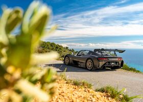 Чорний Dallara Stradale, об'ємом двигуна 2.3 л та пробігом 1000 тис. км за 456427 $, фото 8 на Automoto.ua