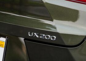 Lexus UX 2020 на тест-драйве, фото 9