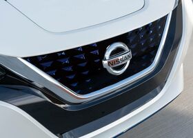 Nissan Leaf 2020 на тест-драйве, фото 11