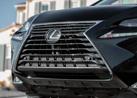 Lexus NX 2018 на тест-драйве, фото 10