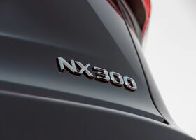 Lexus NX 2018 на тест-драйве, фото 13